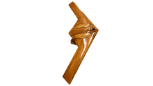 Load image into Gallery viewer, B-21 Raider Mahogany Wood Desktop Model