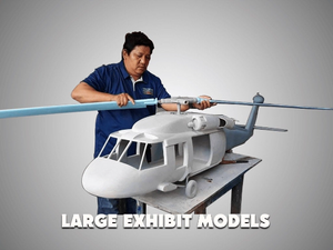 MQ-4C BAMS Model Custom Made for you